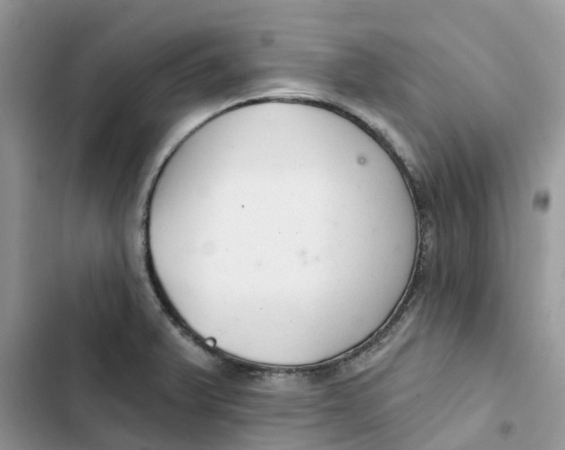 X0000103281375200809191756