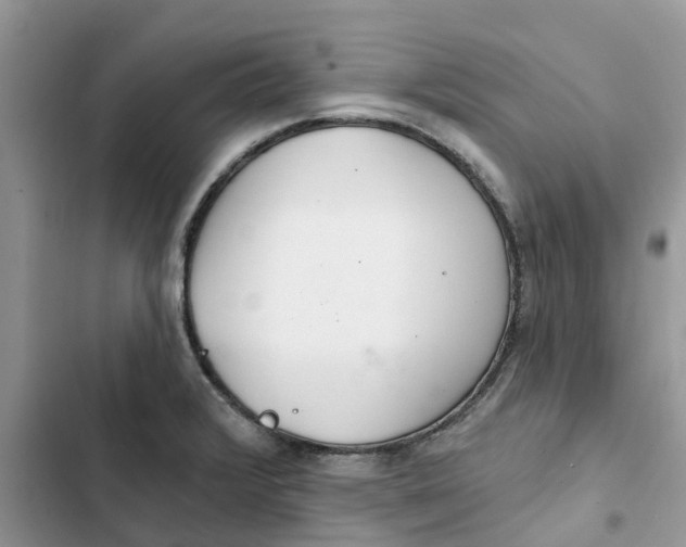 X0000103281376200809191756