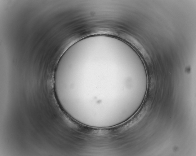 X0000103281377200809191756