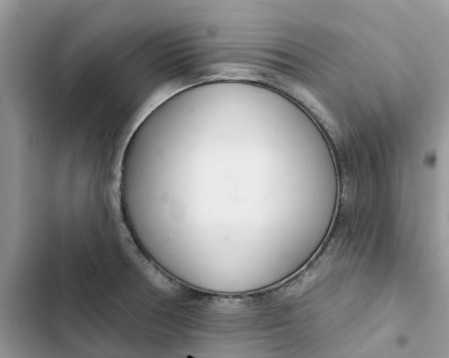 X0000103281378200809191756