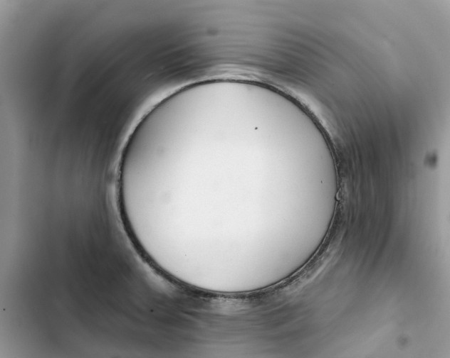 X0000103281379200809191756