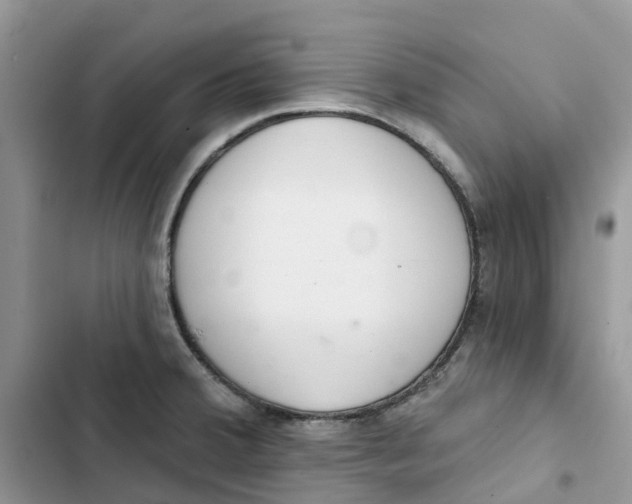 X0000103281380200809191756