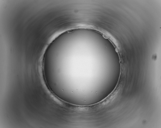 X0000103281381200809191756