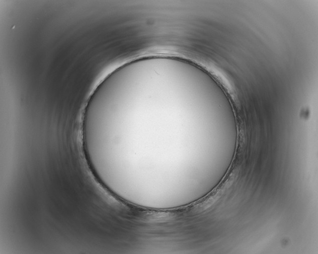 X0000103281382200809191756