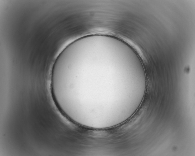 X0000103281383200809191756