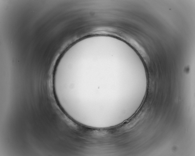 X0000103281384200809191756