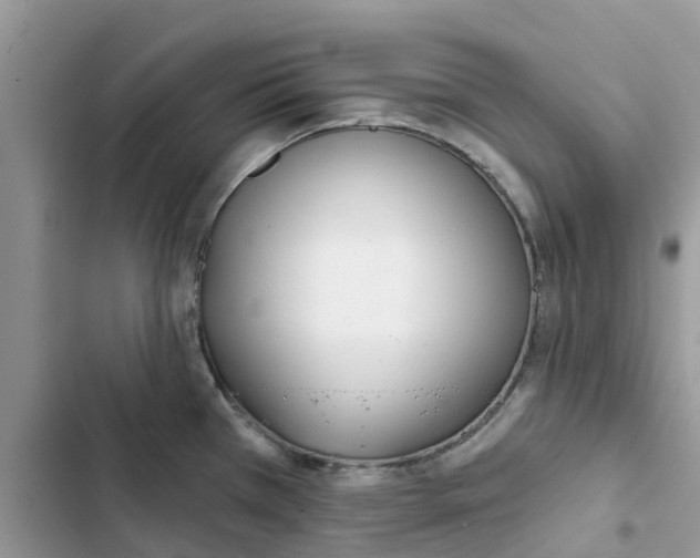 X0000103281385200809191756