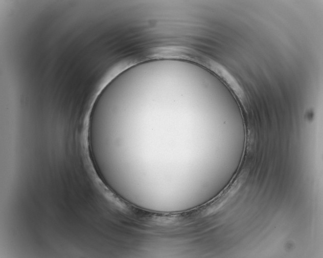 X0000103281386200809191756