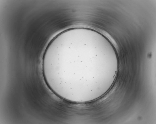 X0000103281388200809191756