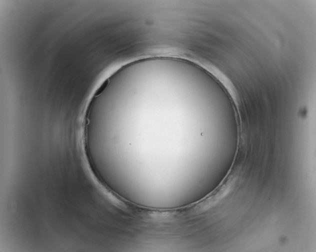 X0000103281389200809191756