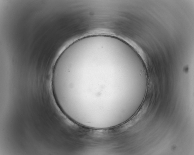 X0000103281390200809191756