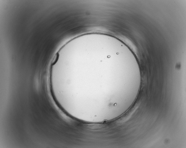 X0000103281391200809191756