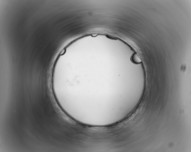 X0000103281392200809191756