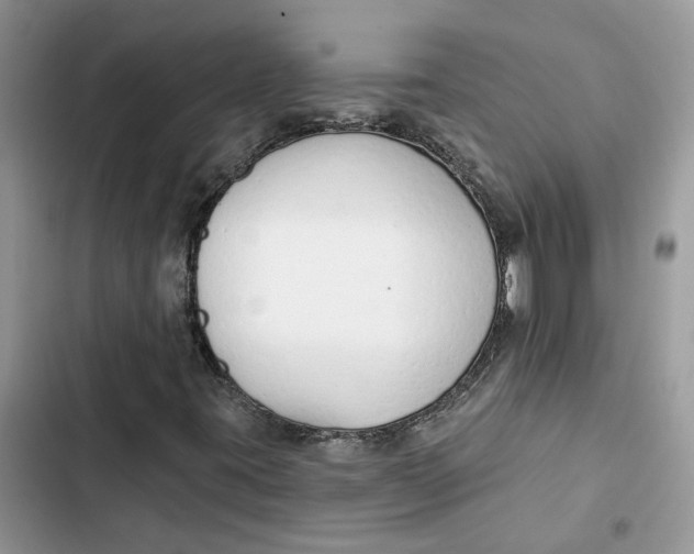 X0000103281395200809191755