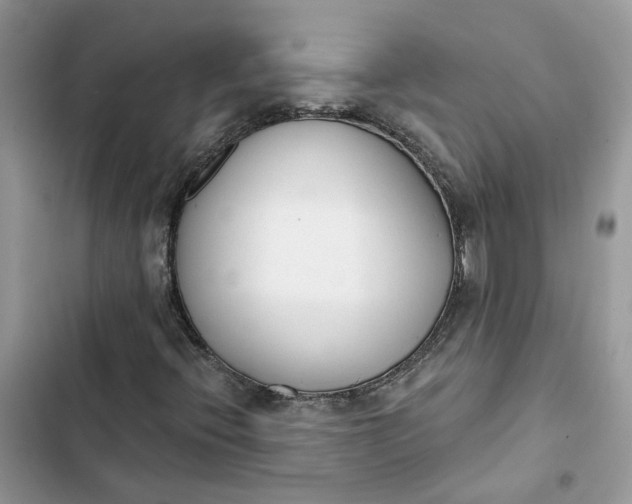 X0000103281396200809191755