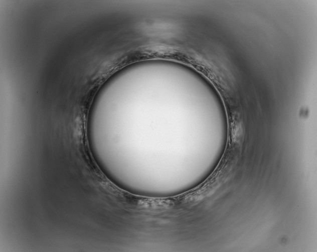 X0000103281397200809191755