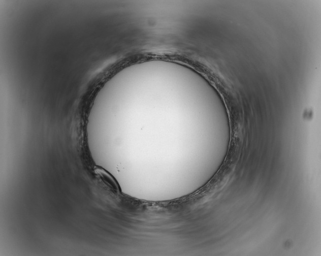 X0000103281398200809191755