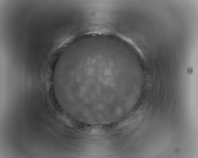 X0000103281399200809191755