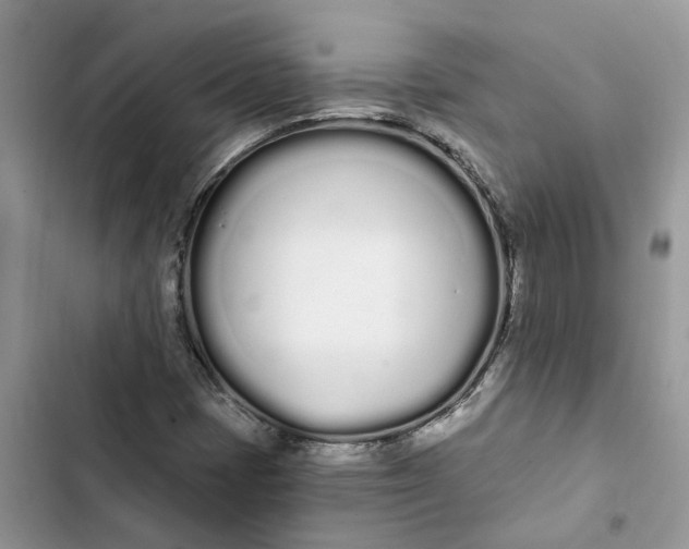 X0000103281401200809191755