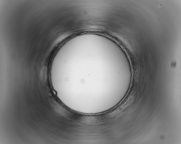 X0000103281402200809191755