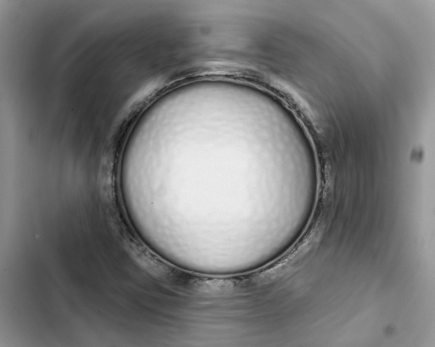 X0000103281403200809191755