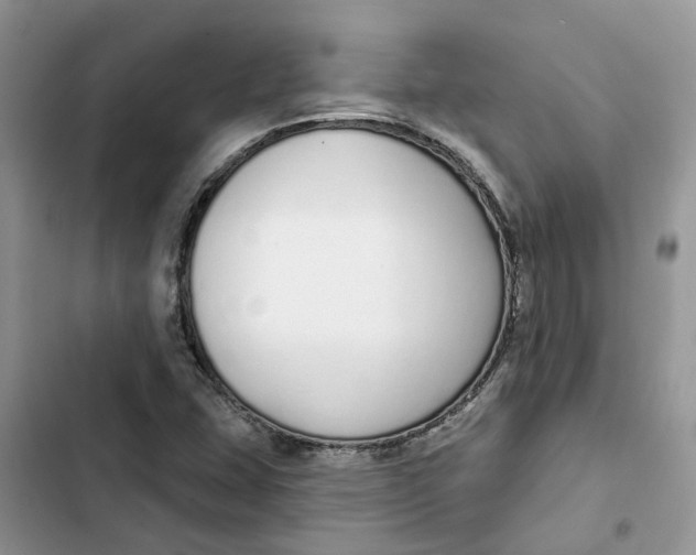 X0000103281407200809191755