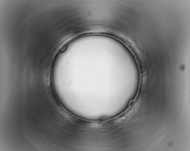 X0000103281409200809191755