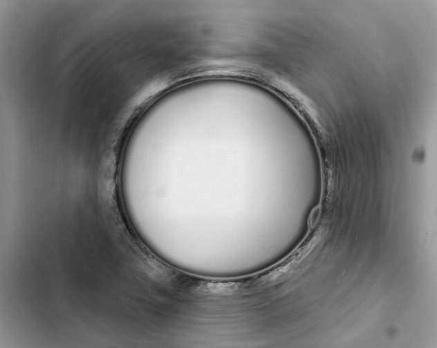 X0000103281411200809191755