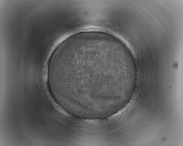 X0000103281413200809191755