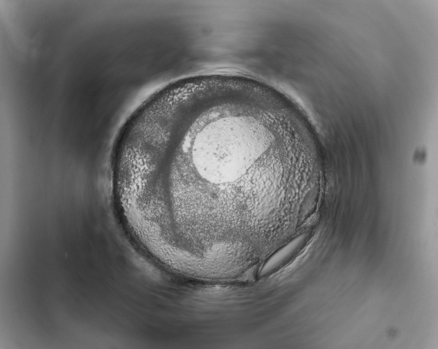 X0000103281414200809191755