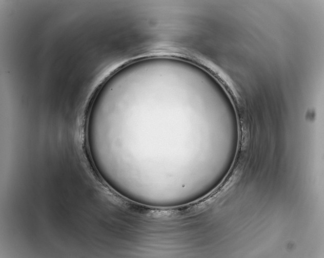 X0000103281415200809191755