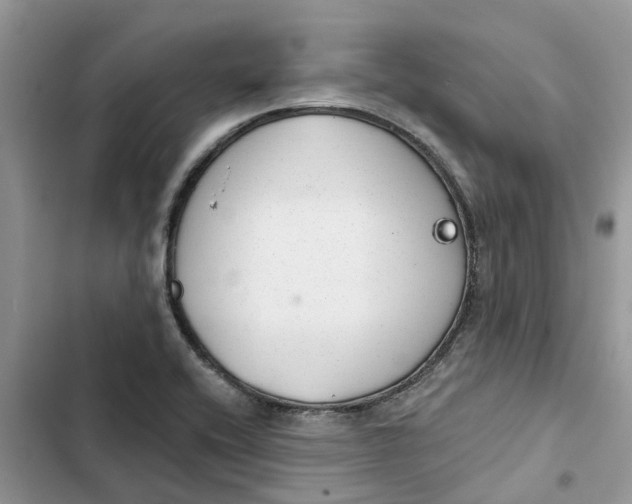 X0000103281416200809191755