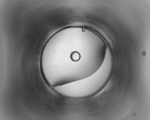 X0000103281417200809191755