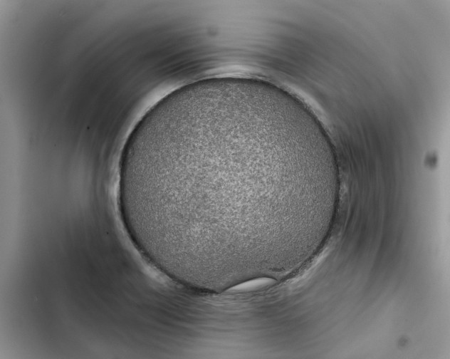 X0000103281418200809191755