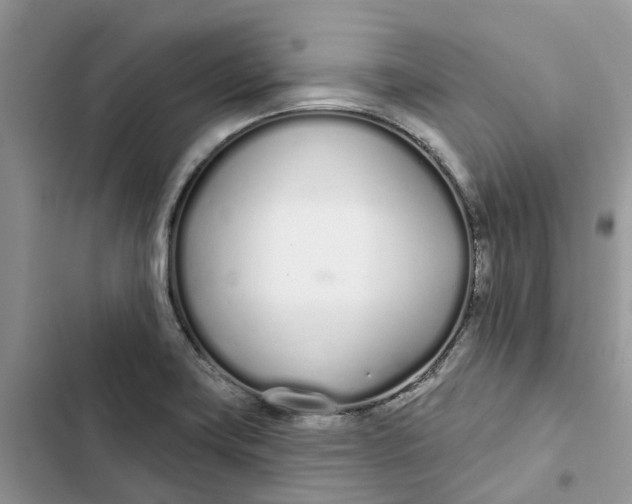 X0000103281419200809191755