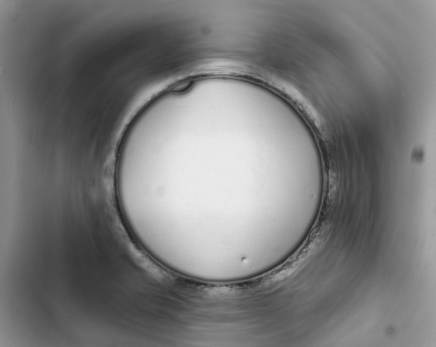 X0000103281421200809191755