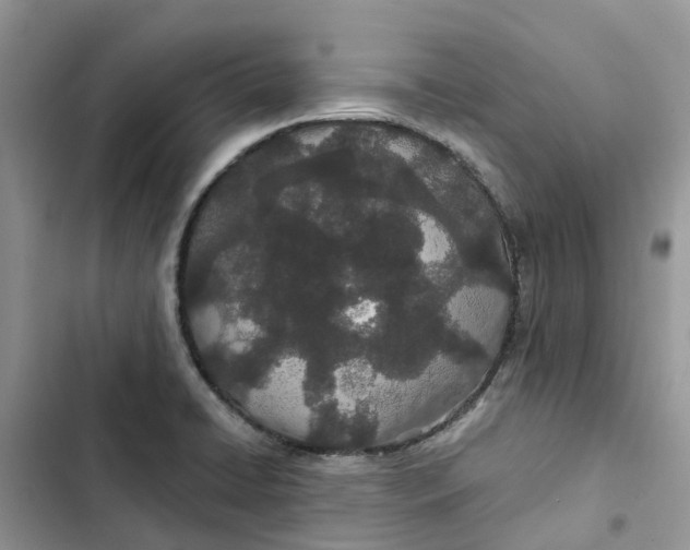 X0000103281422200809191755