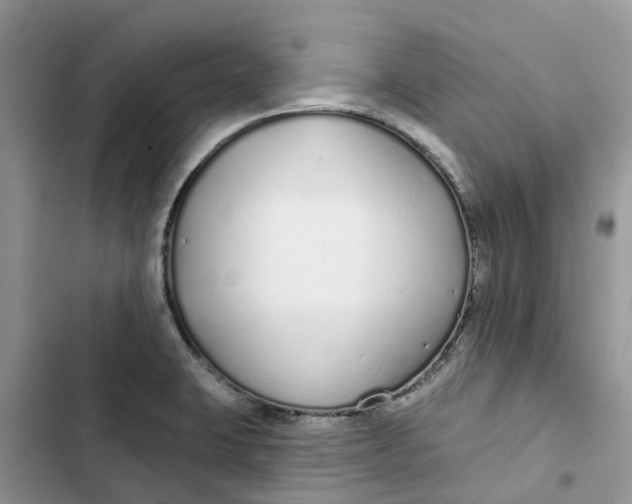 X0000103281423200809191755