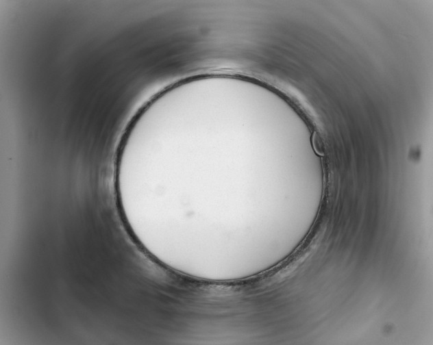 X0000103281424200809191755