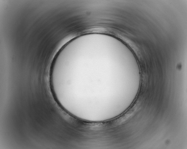 X0000103281426200809191755