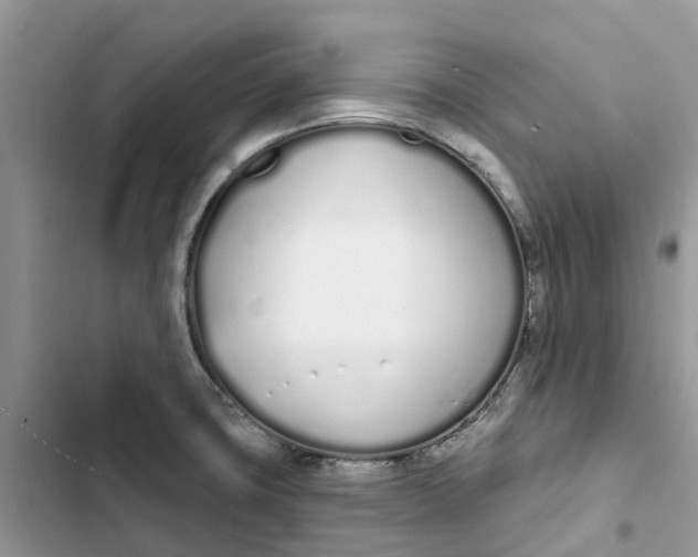 X0000103281427200809191755