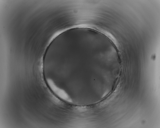 X0000103281428200809191755