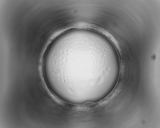 X0000103281429200809191755