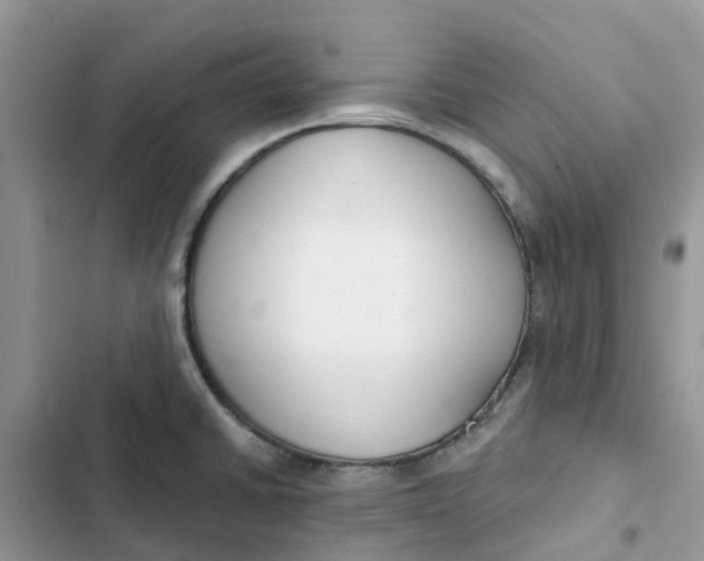 X0000103281430200809191755