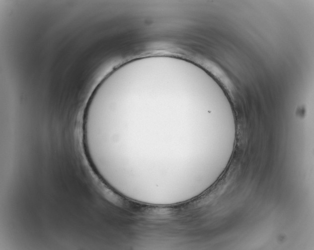 X0000103281431200809191755