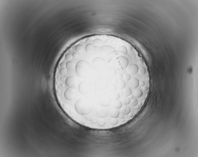 X0000103281432200809191756