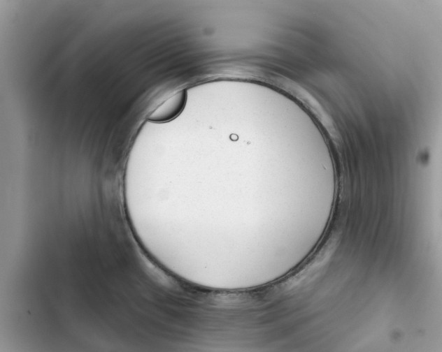 X0000103281433200809191756