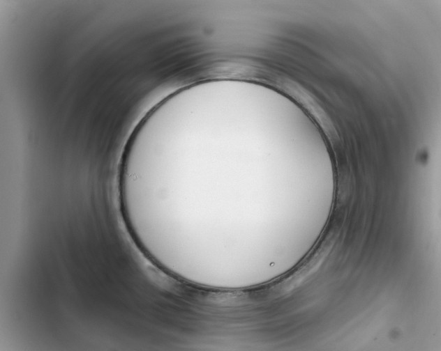 X0000103281434200809191756