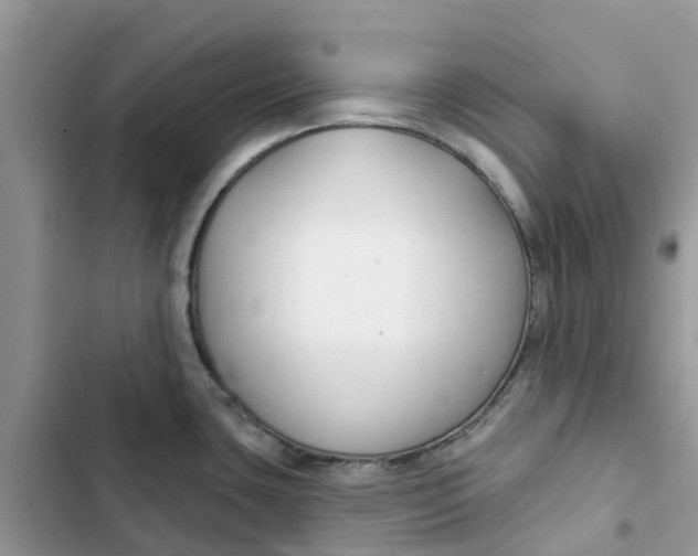 X0000103281435200809191756