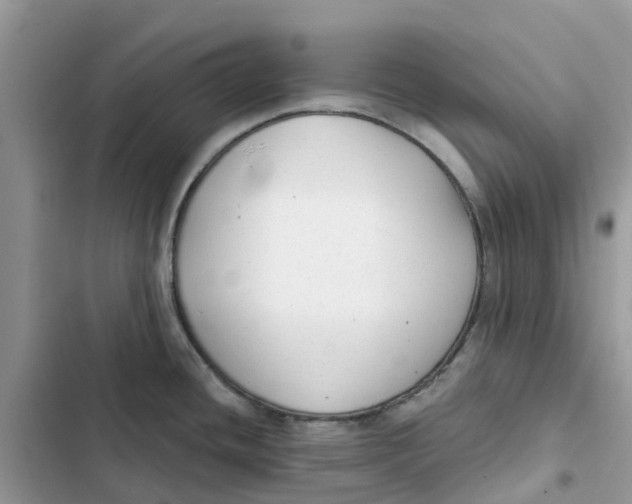 X0000103281436200809191756